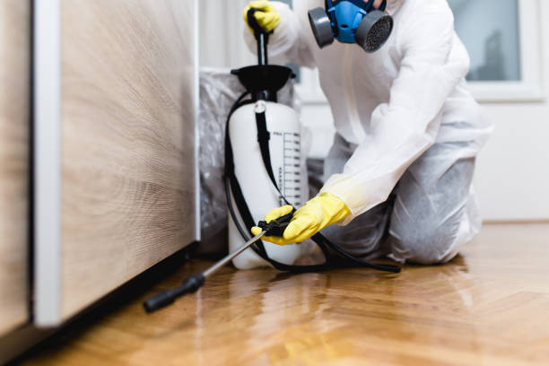 Best Rat Extermination Near Me  in Walnut Creek, NC