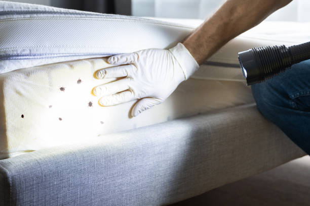 Best Residential Pest Control  in Walnut Creek, NC