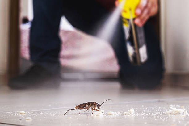 Best Commercial Pest Control Services  in Walnut Creek, NC
