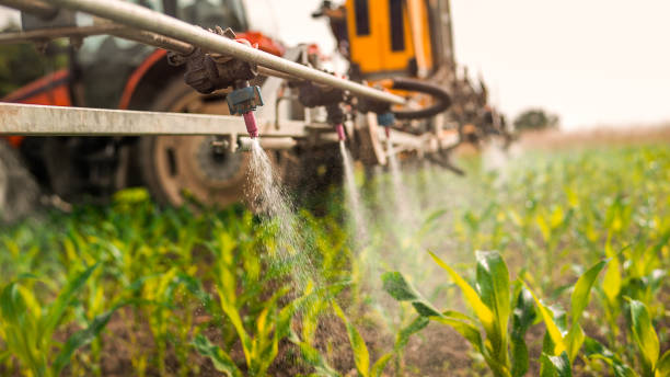 Best Mosquito Control Services  in Walnut Creek, NC