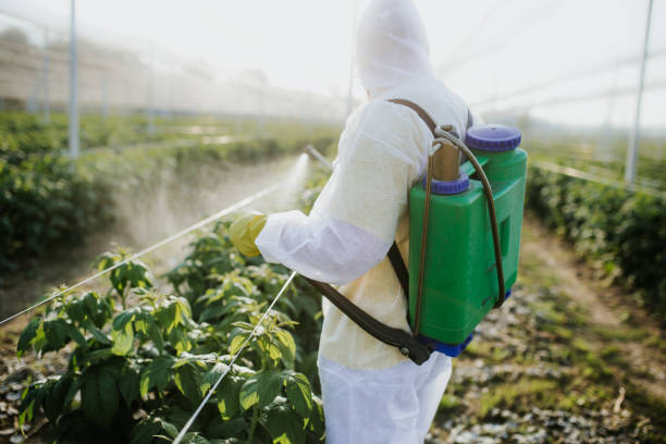 Best Pest Control Treatment  in Walnut Creek, NC